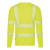 color_back-carterville-fluogeel